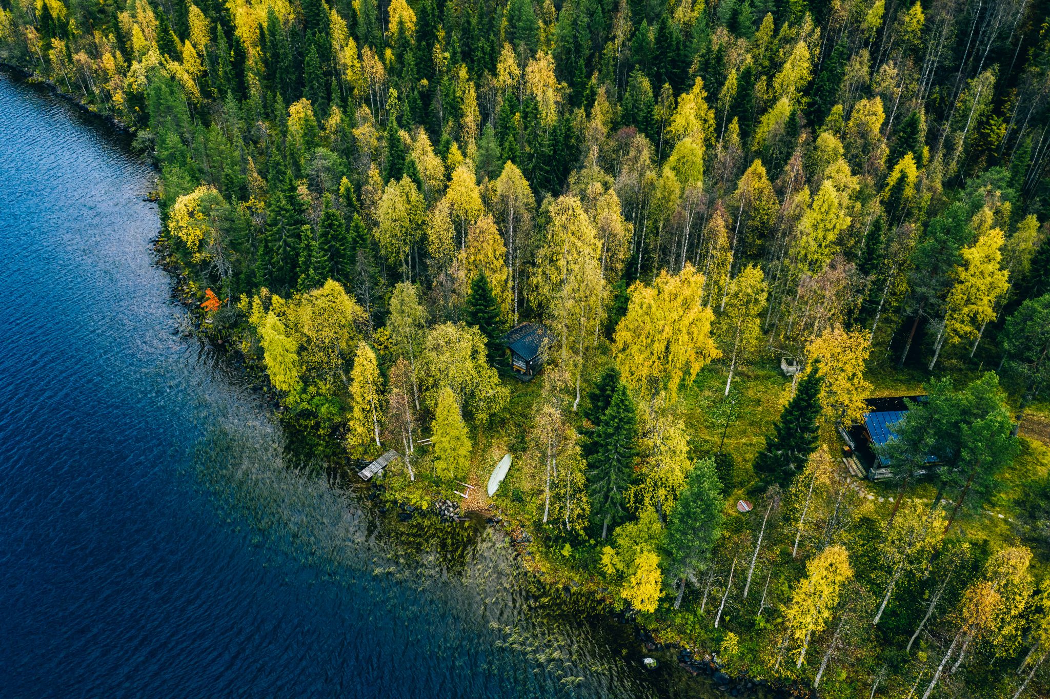 aerial view of cottage in autumn colors forest by 2026 03 24 14 13 02 utc