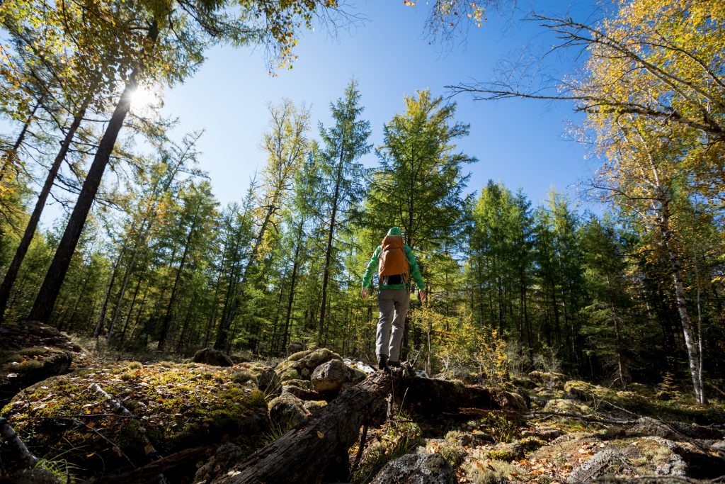 solo hiking woman walking in the sunrise autumn fo 2026 03 16 02 12 49 utc